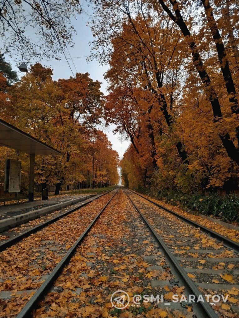 photo_1760497627398