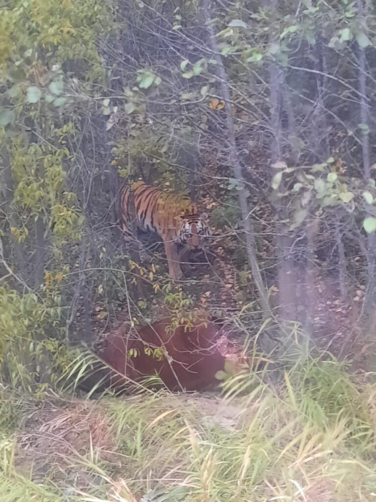 photo_1760556877958
