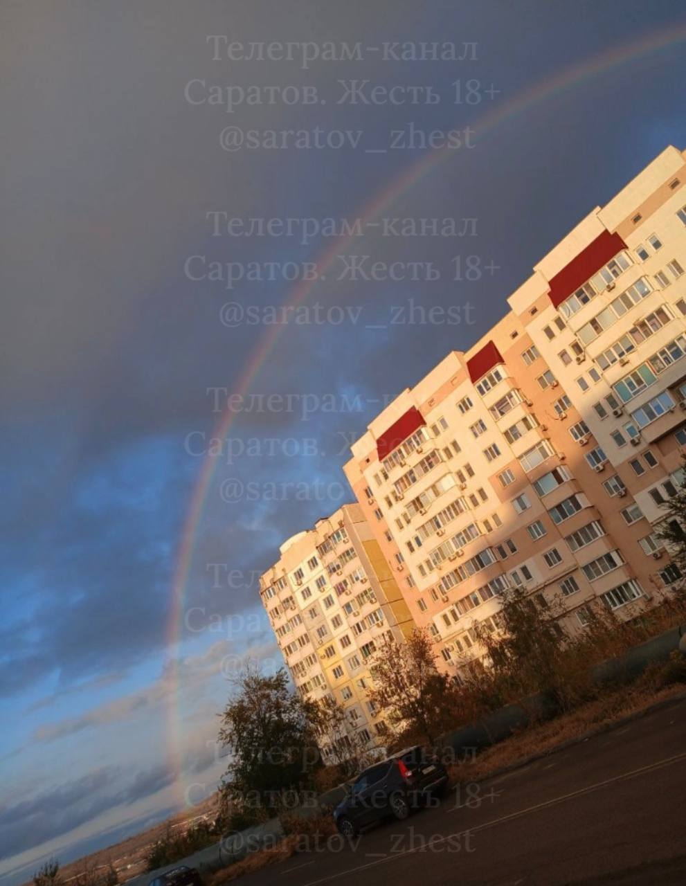 photo_1760623387476