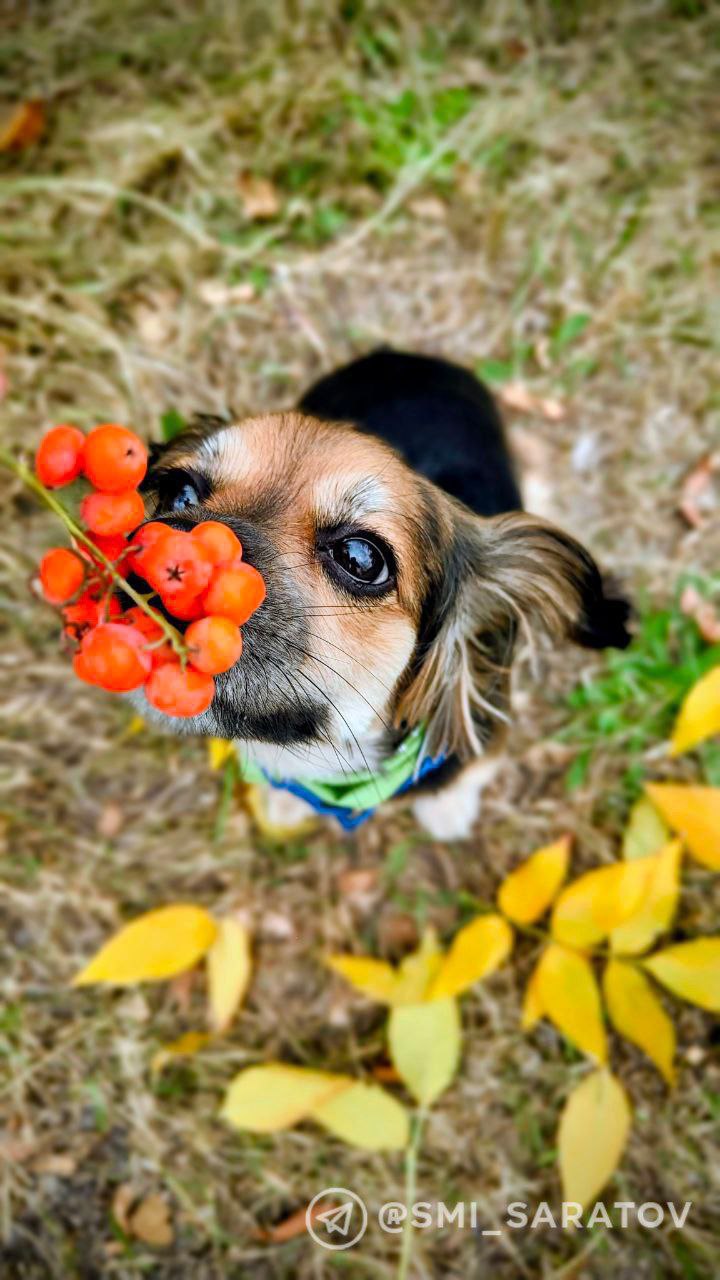 photo_1760756765593