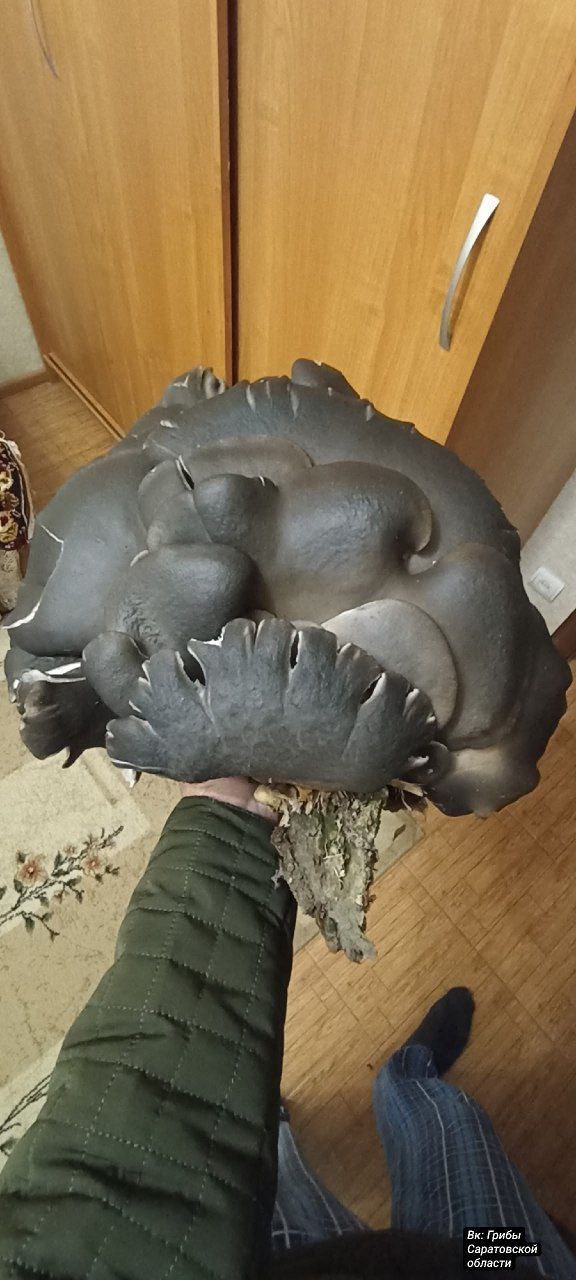 photo_1760772670173