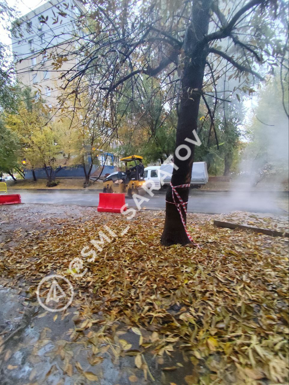 photo_1760989994356