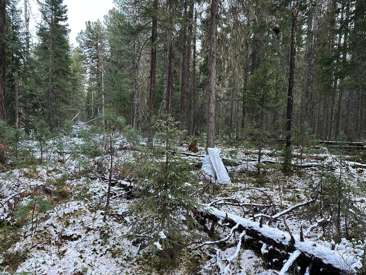 photo_1761116930174