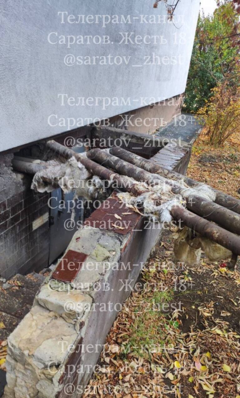 photo_1761249607163