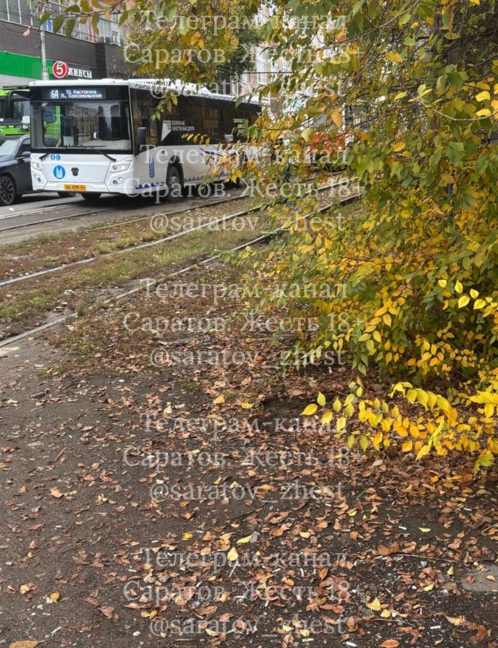 photo_1761289689124