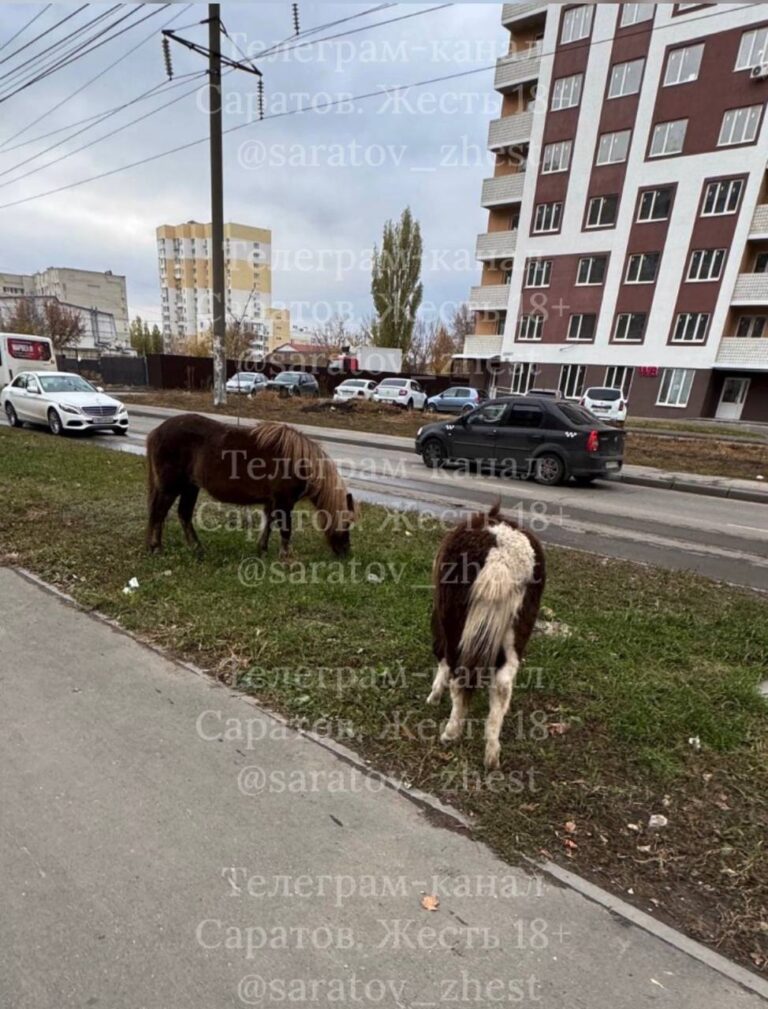 photo_1761308359296
