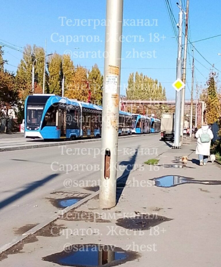 photo_1761395226812
