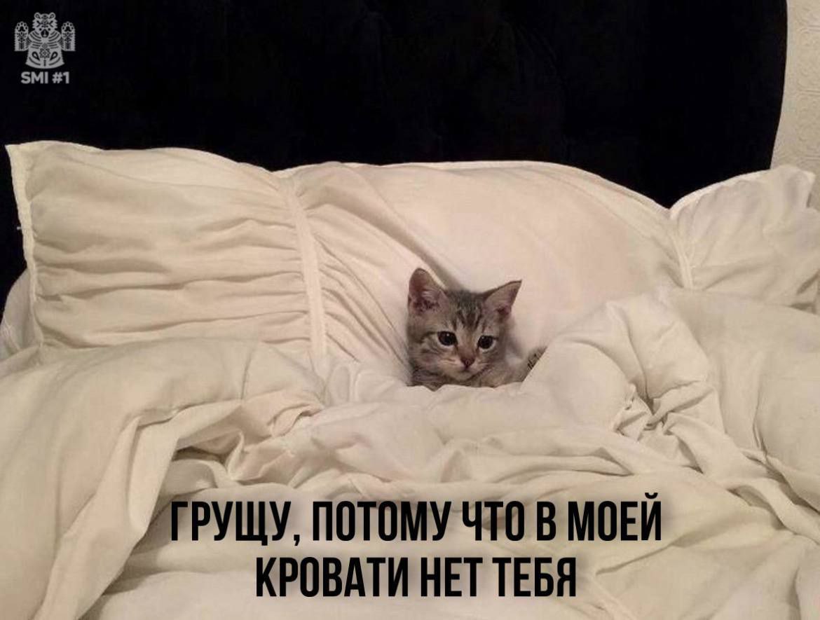 photo_1761423370233