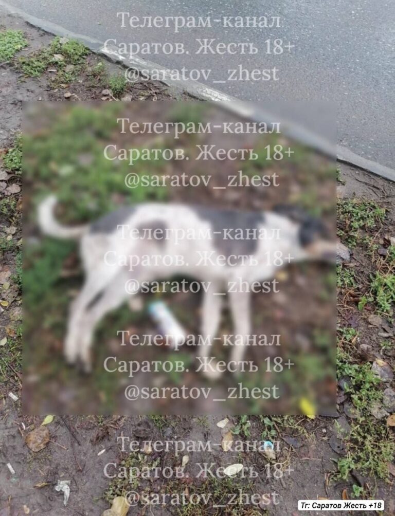 photo_1761484466095