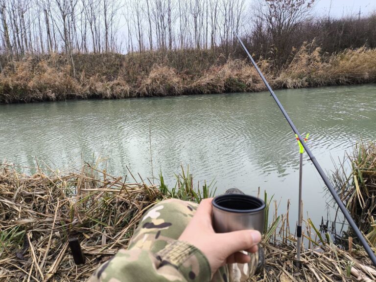 photo_1761507124539