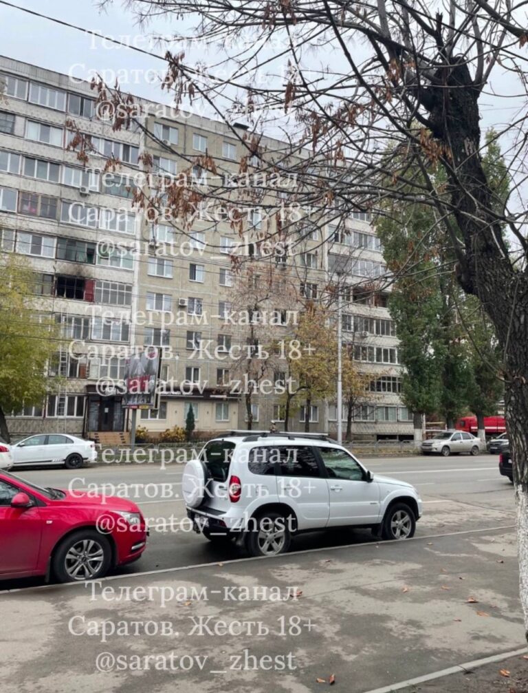 photo_1761560365454
