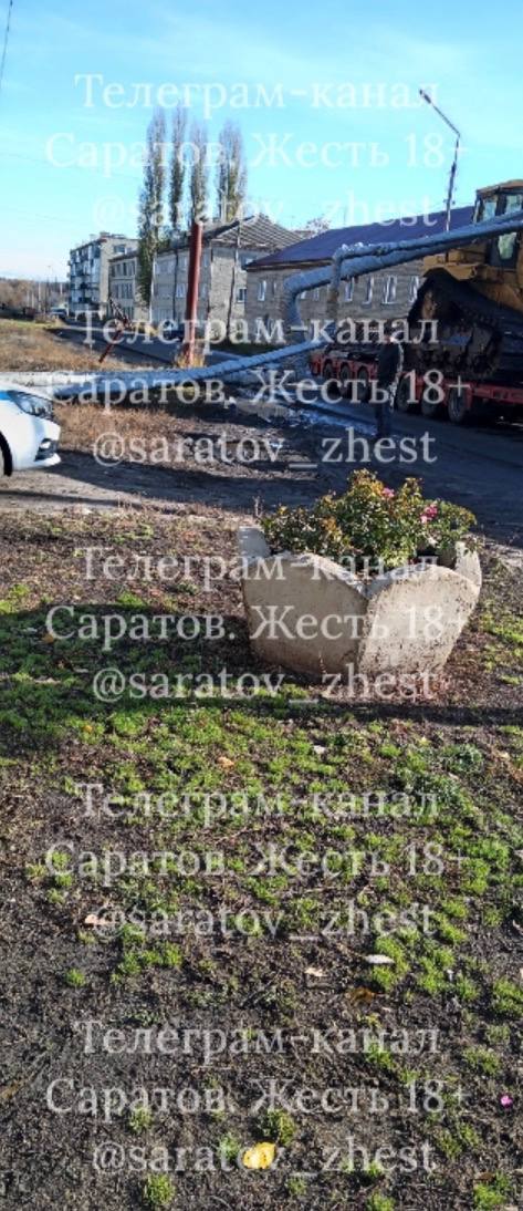photo_1761571626906
