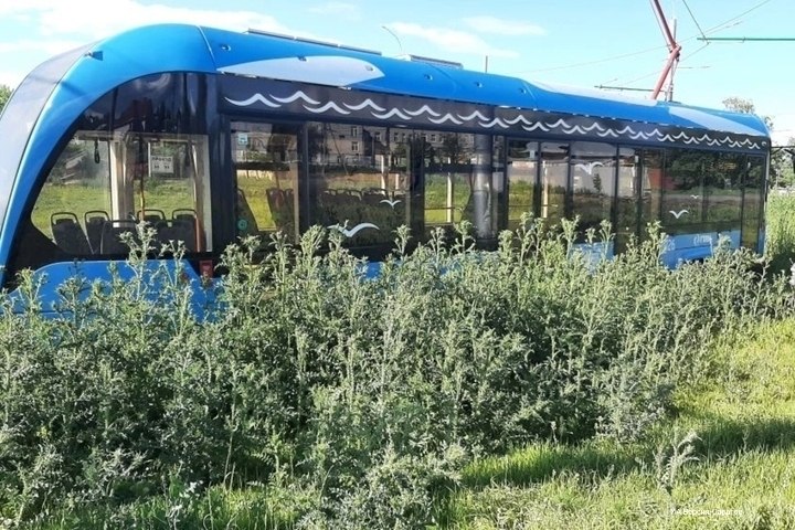 photo_1779947944076