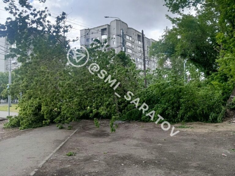 photo_1779964444726