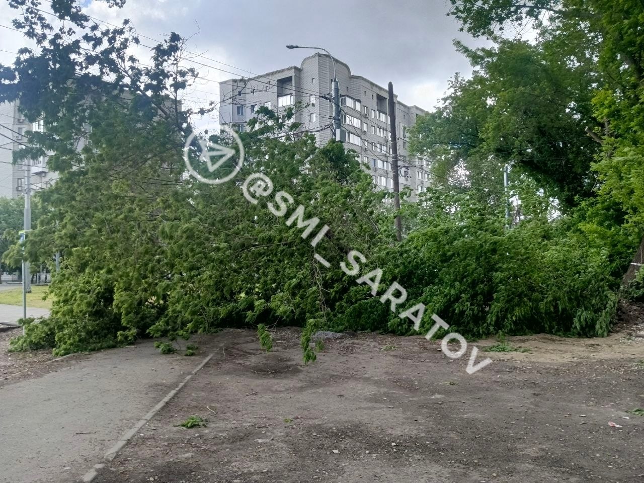 photo_1779964444726