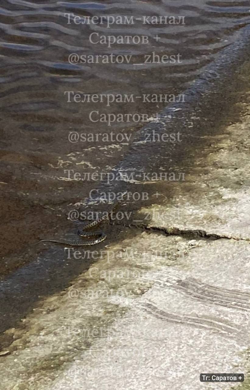 photo_1780594867139
