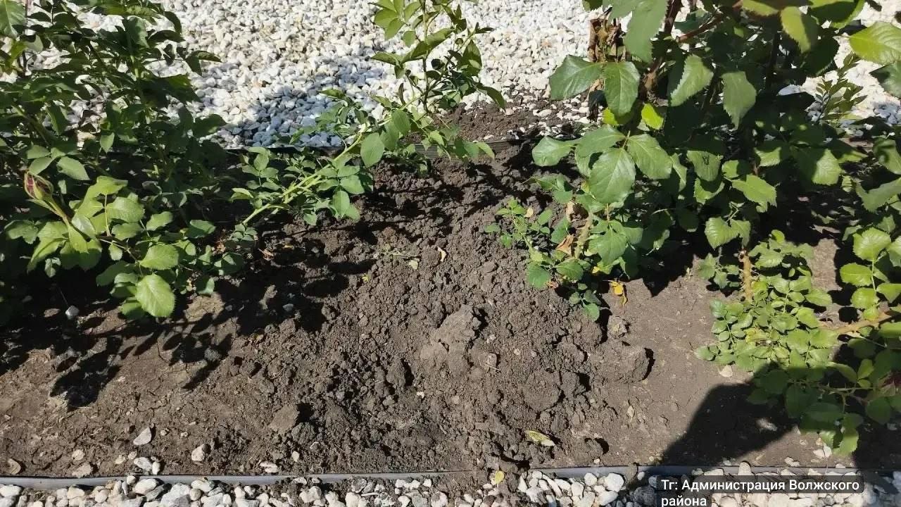 photo_1781188865901.jpg