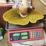 photo_1781611264769