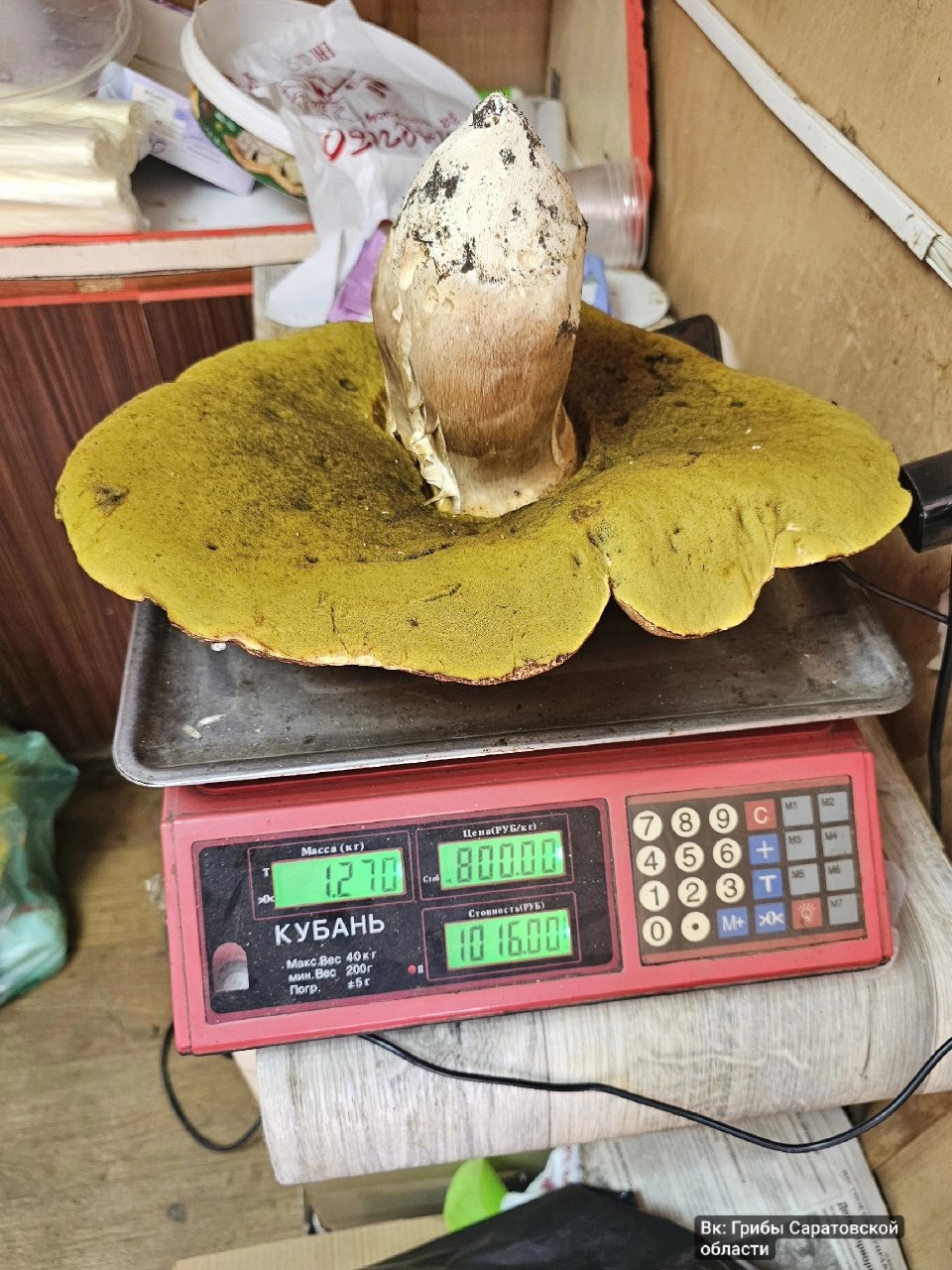 photo_1781611264769