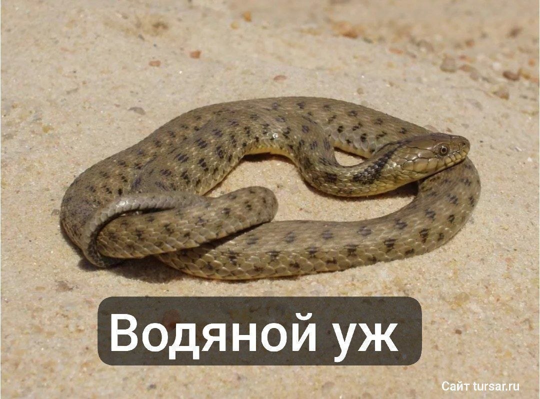 photo_1782668463569