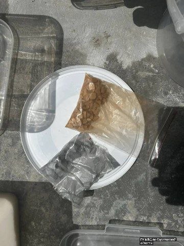 photo_1783408263051