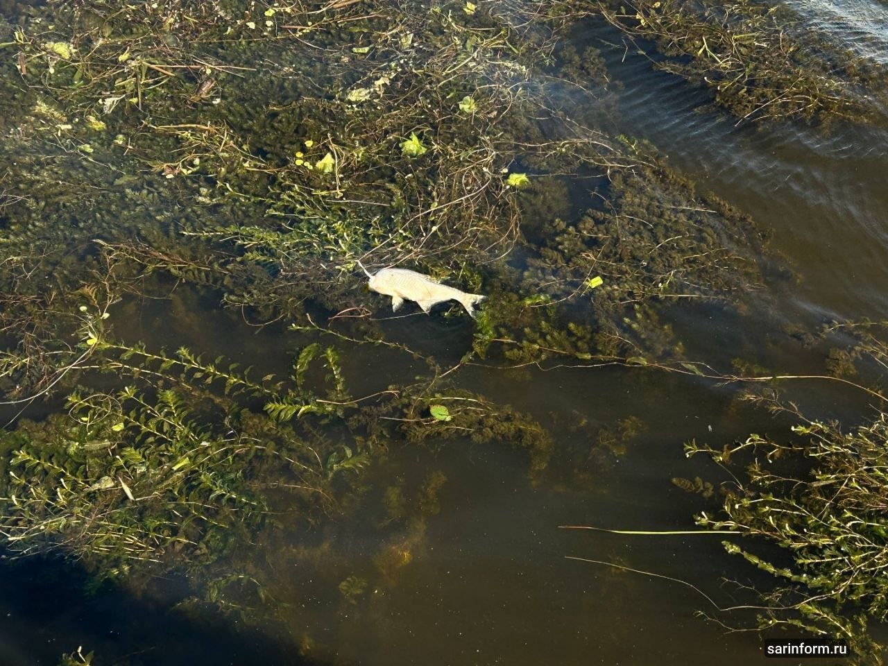 photo_1783532463894