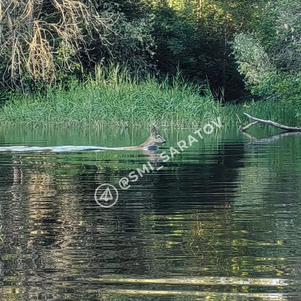 photo_1783582264926